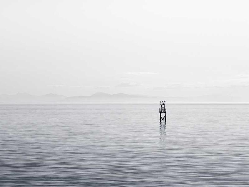 AI Team Collaboration